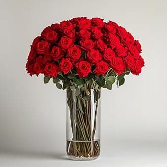 GlobalRose 75 Red Roses Bouquet - Responsibly Sourced Roses Fresh Flowers - Hand-Picked Flowers Fresh Bouquet for Valentine's Day, Birthday & Special Occasions (3 Bunches of 25 Stems)