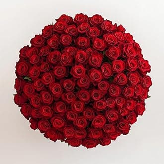 GlobalRose Fresh Cut Red Roses - 150 (6 Bundles of 25) Fresh Flowers Bouquet for Wedding