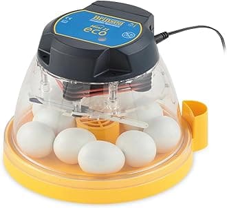 Mini II Eco Manual Egg Incubator with External Water Top-Up, Fan Assisted Air Circulation for Hatching 10 Chicken, Duck, or Other Eggs, Ideal for Beginners