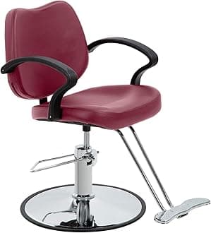 Styling Heavy Duty Hydraulic Pump Beauty Shampoo Barbering Chair for Hair Stylist Women Man Salon Equipment,Burgundy
