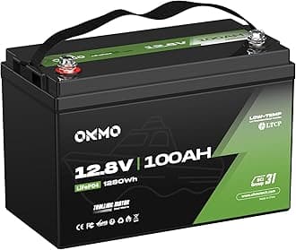 OKMO 12V 100Ah TM LiFePO4 Battery, Lithium Battery 150A BMS, 10 Years Lifetime 15000+ Deep Cycles,for Marine, RV, Trolling Motor, Boat, Camper, Solar Home Iron Phosphate, Low Temperature Protection