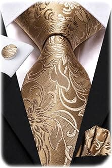 Hi-Tie Paisley Floral Ties Set for Men Silk Mens Stripes Necktie Pocket Square Cufflinks Set Formal Business