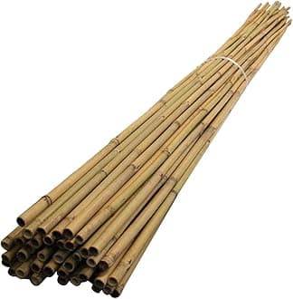 MUSAN Large 2FT 3FT 4FT 5FT 6FT Natural Garden Bamboo Canes - Heavy Duty Strong Plant Support Poles Thick Sticks - Indoor & Outdoor Plants Stakes Wooden Screening Wood Trellis (40, 2FT (10-18mm))