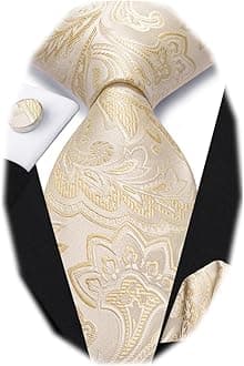 Dubulle Mens Paisley Floral Silk Tie for Men Striped Necktie and Pocket Square Cufflinks Set Wedding Business