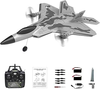 RC Plane 4 Channel Remote Control Airplane - F-22 RC Airplane for Beginners Adult with Xpilot Stabilization System & Aerobatic, Two Batteries - Remote Control Plane Gift for Kids