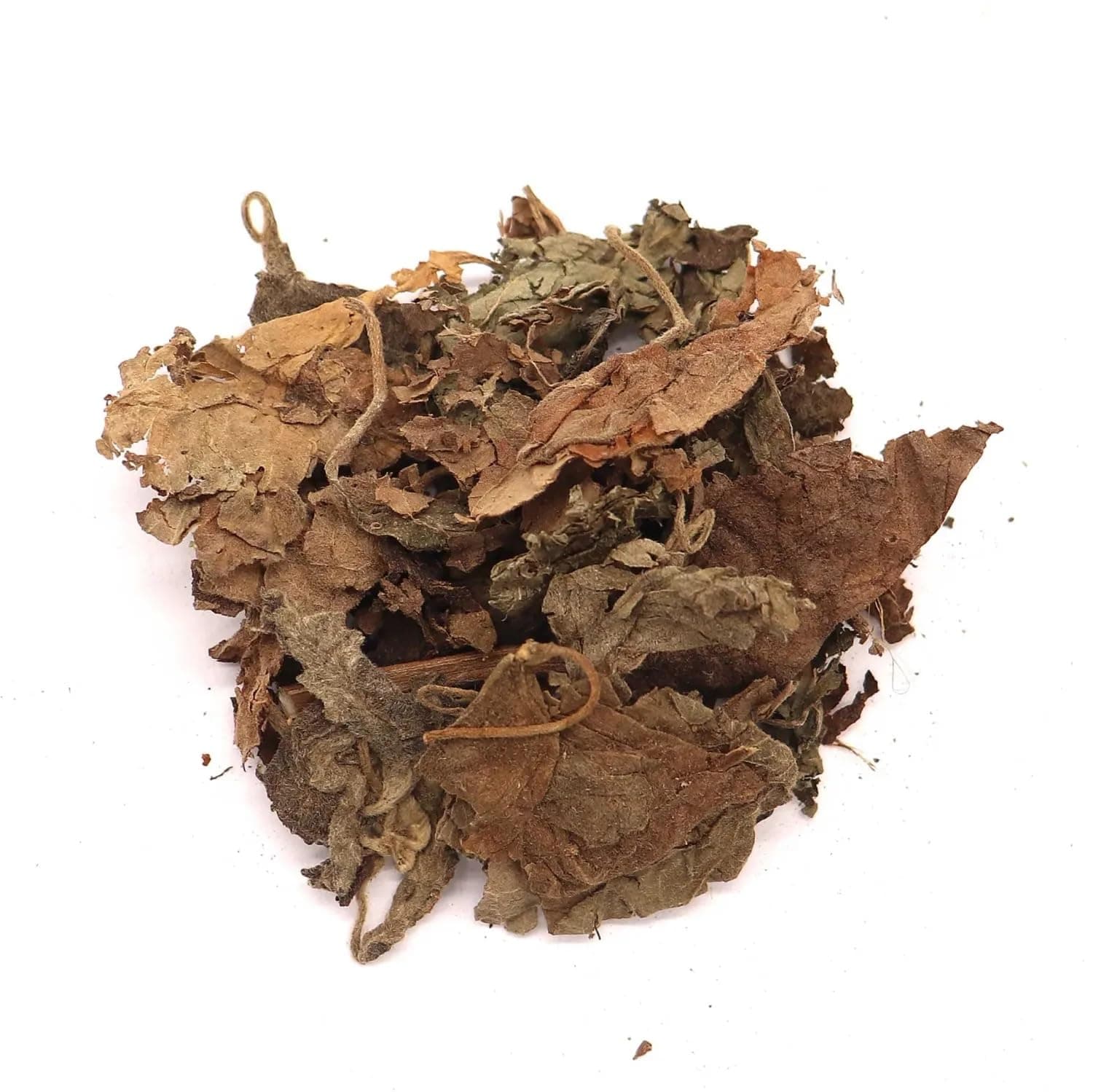 Bulk Herbs: Patchouli Leaf