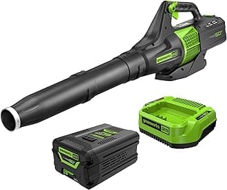 Greenworks 60V 450 CFM Cordless Leaf Blower, 2.0 Ah Battery and Rapid Charger