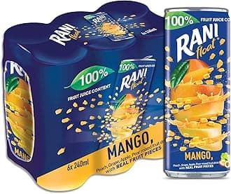 Rani Float Mango Fruit Juice Drink, 100% Fruit Juice Content with Real Mango Chunks, Imported from Dubai, No Added Sugar, No Artificial Colors, 8oz (Pack of 24)