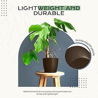 Utopia Home - Plant Pots Indoor with Drainage - 7/6.6/6/5.3/4.8 Inches Home Decor Flower Pots for Indoor Planter - Pack of 10 Plastic Planters for Indoor Plants, Nursery Pots, Succulents Pot - Brown