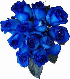 FRESH Blue Roses Bouquet by Flower Explosion - 12 Stems