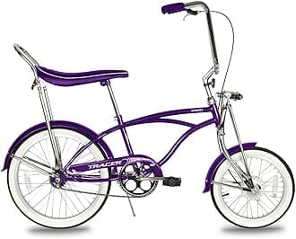 Tracer Retro Beach Cruiser for Adults,20 Inch Wheels,1.75 Tire, City Bike, Lowrider Springer Fork Retro Banana Seat,High Rise Handlebar - Multi Color