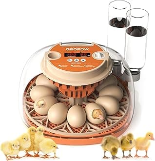 12 Egg Incubator, Automatic Turning with Temperature & Humidity Control, Egg Candler, 360 View with Air Vent, Auto Water Bottle Refill, Chicken Incubator for Hatching Eggs