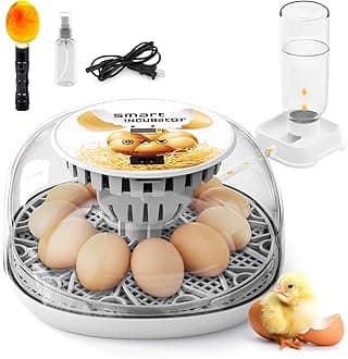 SENXINGYAN Egg Incubator for Hatching Chicks, Automatic Turner, Holds 12 Eggs, Plastic, 360° Clear Window, Temperature Display, Egg Candler, for Small Poultry, Chickens, Ducks, Quails
