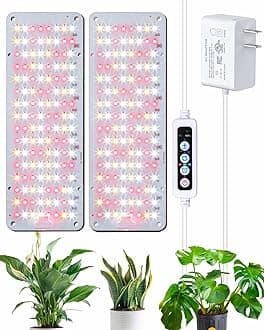 20W Multirole RCW Light