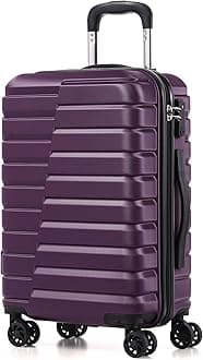 20-Inch Small Carry on Hardside PC+ABS Spinner TSA Lock Telescopic Luggage Handle（20in-purple）
