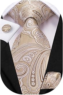 Hi-Tie Paisley Floral Ties Set for Men Silk Mens Stripes Necktie Pocket Square Cufflinks Set Formal Business