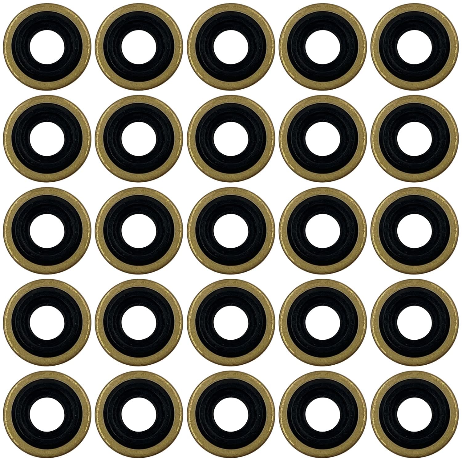 25pk Regulaor Yoke Washers