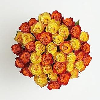 GlobalRose 50 Fresh Cut Roses - 25 Yellow & 25 Orange - Fresh Flowers Bouquet - Flowers for Wedding, Birthday, Anniversary, Mother's Day, or Home Decor (OM)
