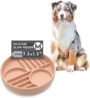 Should We Go? Slow Feeder for Dogs & Puppies, The Slowdown Bowl Silicone Slow Eating, Modern Lick Mat Design, Reduces Gulping, Fits 2 Cups, 7.5” Across x 1.5” Tall, Mealtime Challenge, Medium-Blush
