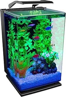 aquarium Kit 5 Gallons, Includes Hinged Cycle Light And Hidden Filtration