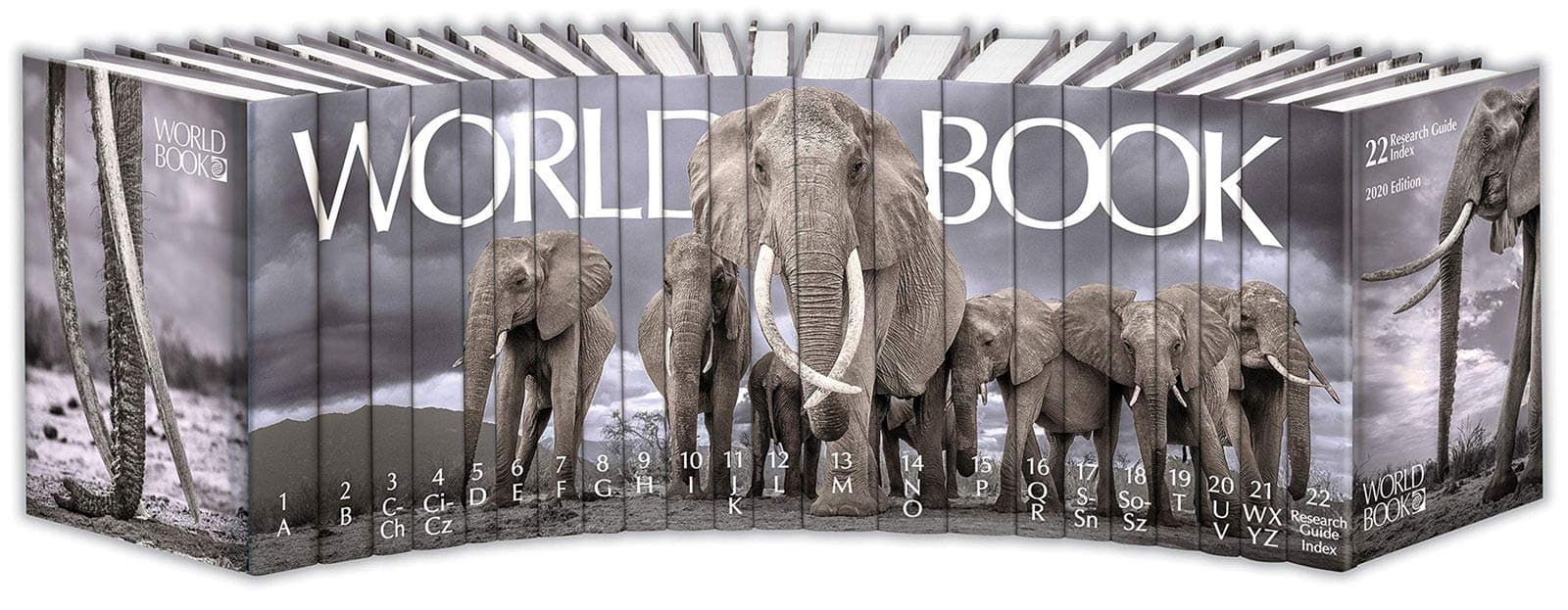 The World Book Encyclopedia 2020