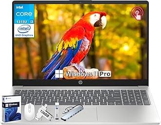 HP 15.6" Touchscreen Laptop for Student & Business, Microsoft Office Lifetime License, Intel 13th Gen Core i3-1315U, 64 GB RAM, 1 TB SSD, Intel UHD Graphics, Fast Charge, HD Camera, Windows 11 Pro