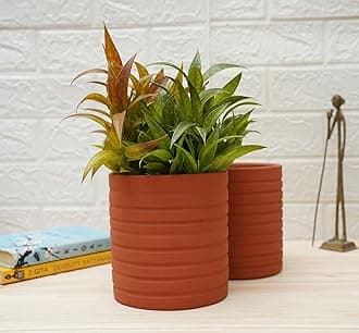 GOLD DUST Clay Terracotta Pots for Plants, Gamla, Gamley, Mud Earthen Mitti Pots (Pack of 2)