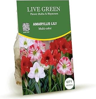 Amaryllis Lily Mutlicolor - Pack of 5 Bulbs