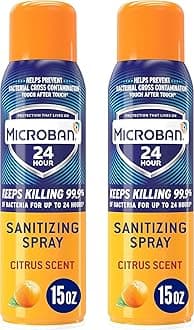 24 Hour Disinfectant Sanitizing Spray, Citrus Scent, 2 Count, 15 fl oz Each