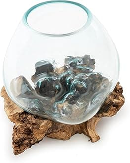 BAGUS Home DCOR Glass Aquarium on Natural Driftwood - Elegant Handcrafted Tabletop Decor with Elevated Design Perfect for Home & Office (Large)