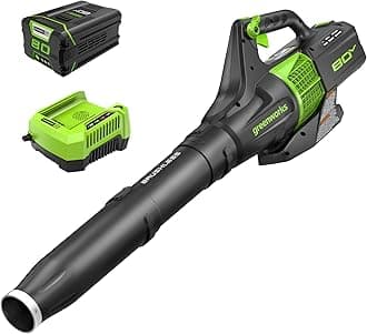 Greenworks BL80L2510 80V Jet Electric Leaf Blower, 2.5Ah Battery and Charger Included