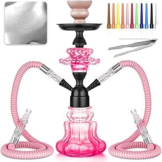 Hookah Set With Everything 14'' Shisha Hookah Complete Set - Glass Flower Vase, Ledther Hose, Foils, HookahTips, Ceramic Bowl, Coal Tong (Pink)