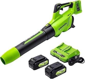 48V (24V x 2) Cordless Brushless Axial Leaf Blower (140 MPH / 585 CFM / 200+ Compatible Tools), (2) 4.0Ah Batteries and Dual Port Rapid Charger Included