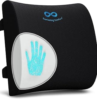 Everlasting Comfort Backrest Cushion