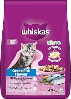Whiskas Junior Mother Cat & Kitten (2-12 Months) Dry Cat Food, Ocean Fish Flavour, 6.5 kg, Contains 41 Essential Nutrients, Complete & Balanced Nutrition for Mother Cats & Kittens