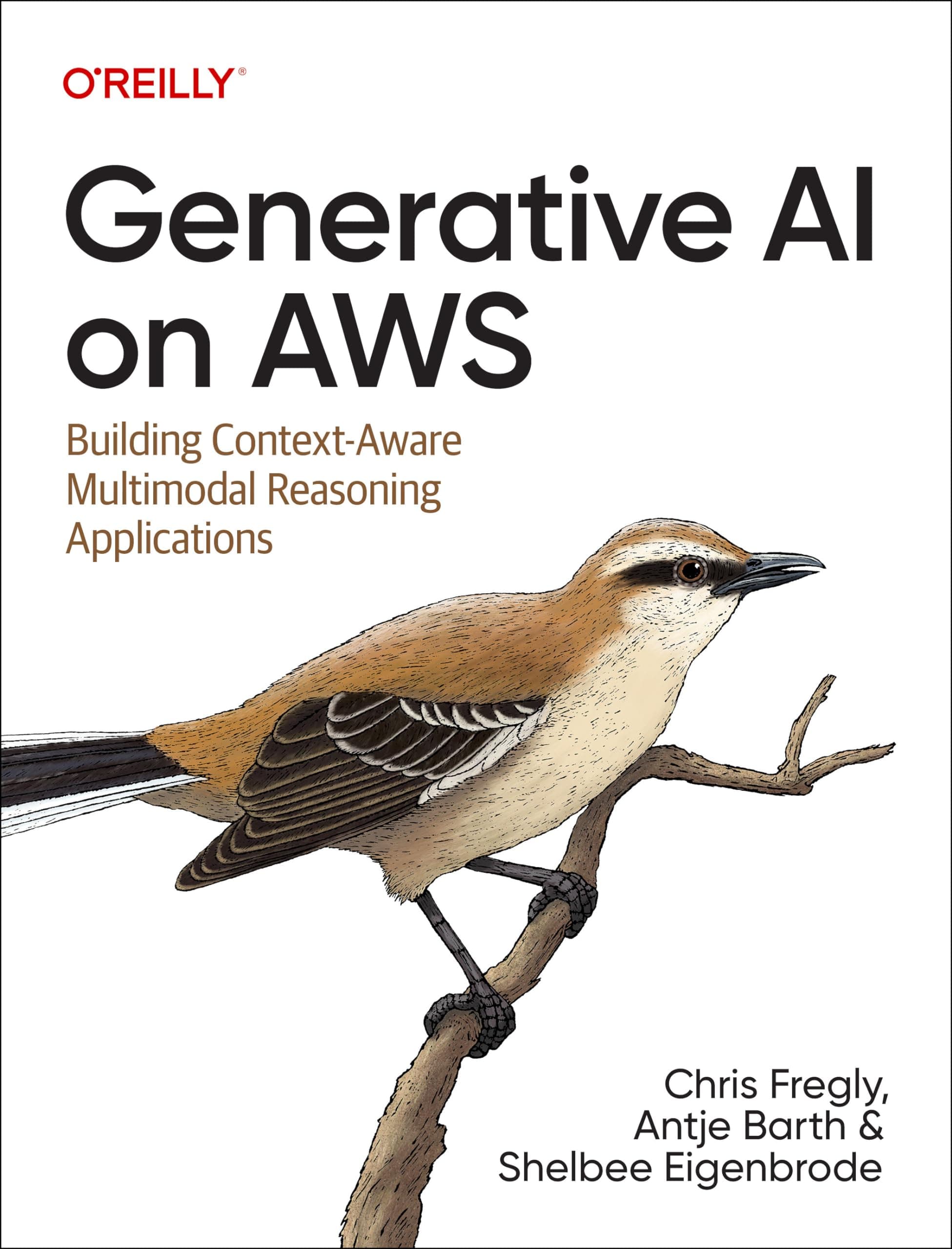 Generative AI on Aws: Building Context-Aware Multimodal Reasoning Applications Paperback – 24 Nov. 2023