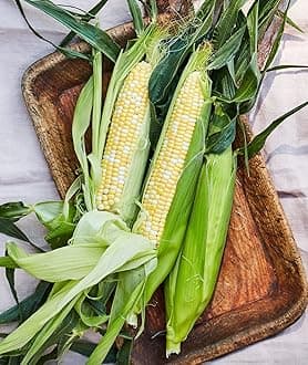 Peaches & Cream Sweet Corn Seeds 200 seeds