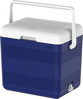 Cosmoplast Keep Cold Plastic Cooler Icebox Deluxe 25 Liters