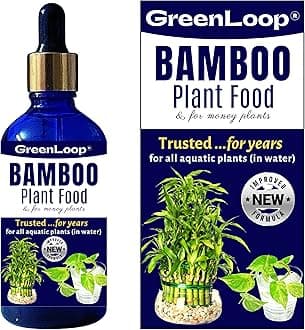GreenLoop - Bamboo Plant Food (& for Money Plants) - Liquid Food for Aquatic Plants (in Water), 100 ml Premium Glass bottle with Glass dropper.