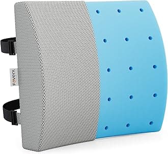 FOVERA Back Support for Chair, Orthopedic Lumbar Support Memory Foam Backrest Cushion - Designed for Back Pain Relief - Ideal Back Pillow for Computer/Office Chair (Mesh Grey)