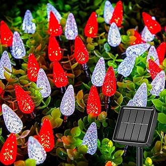 Brightown Solar Operated C6 Strawberry String Lights, 22.64ft 50 LEDs Red White LED Christmas Fairy Lights, Solar Christmas Lights Outdoor, Christmas Decorations for Christmas Tree, Garden Decor