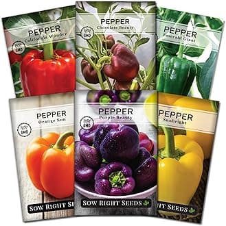 Sow Right Seeds - Sweet Bell Pepper Seed Collection for Planting a Home Garden - Red, Yellow, Purple, Orange and Chocolate Brown Bell Peppers - Non-GMO Heirloom Variety Pack Vegetable Seeds to Plant