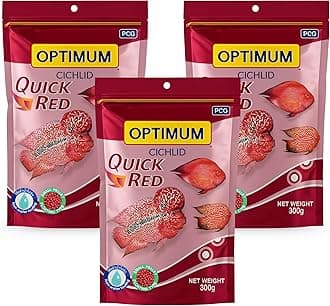 Optimum Cichlid Quick Red Small Pellet Fish Food - 300gm (Pack of 3) | Added with Fish Meal & Corn Gluten Meal | All Aquarium Fish with Free Key Ring