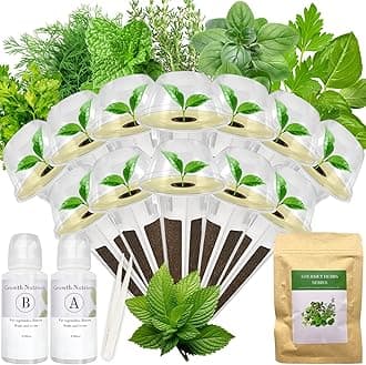 Gourmet Herbs Seed Pod Kit for AeroGarden, iDoo, Ahopegarden, MUFGA with Basil, Parsley, Thyme, Mint, Cilantro, Dill, Oregano - Compatible with All Hydroponics (12-Pod)