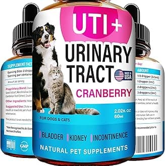Cat & Dog UTI Treatment - UTI Medicine & Urinary Tract Infection Treatment for Pets - Kidney Support - Bladder Control for Dogs Incontinence - Cat UTI Remedy - Cranberry Supplement - US Made - 2fl.oz