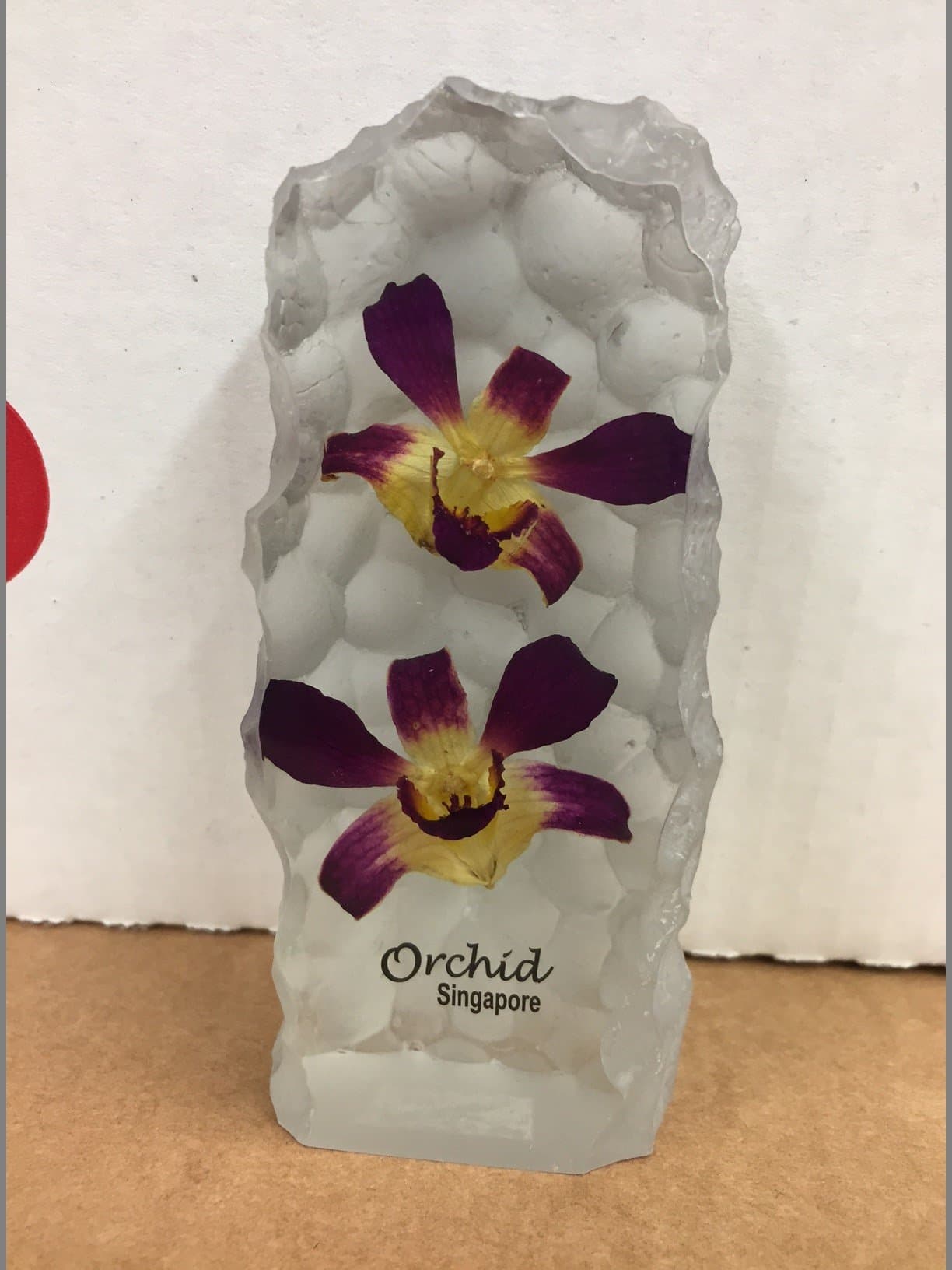 Real Orchids Preserved in Resin