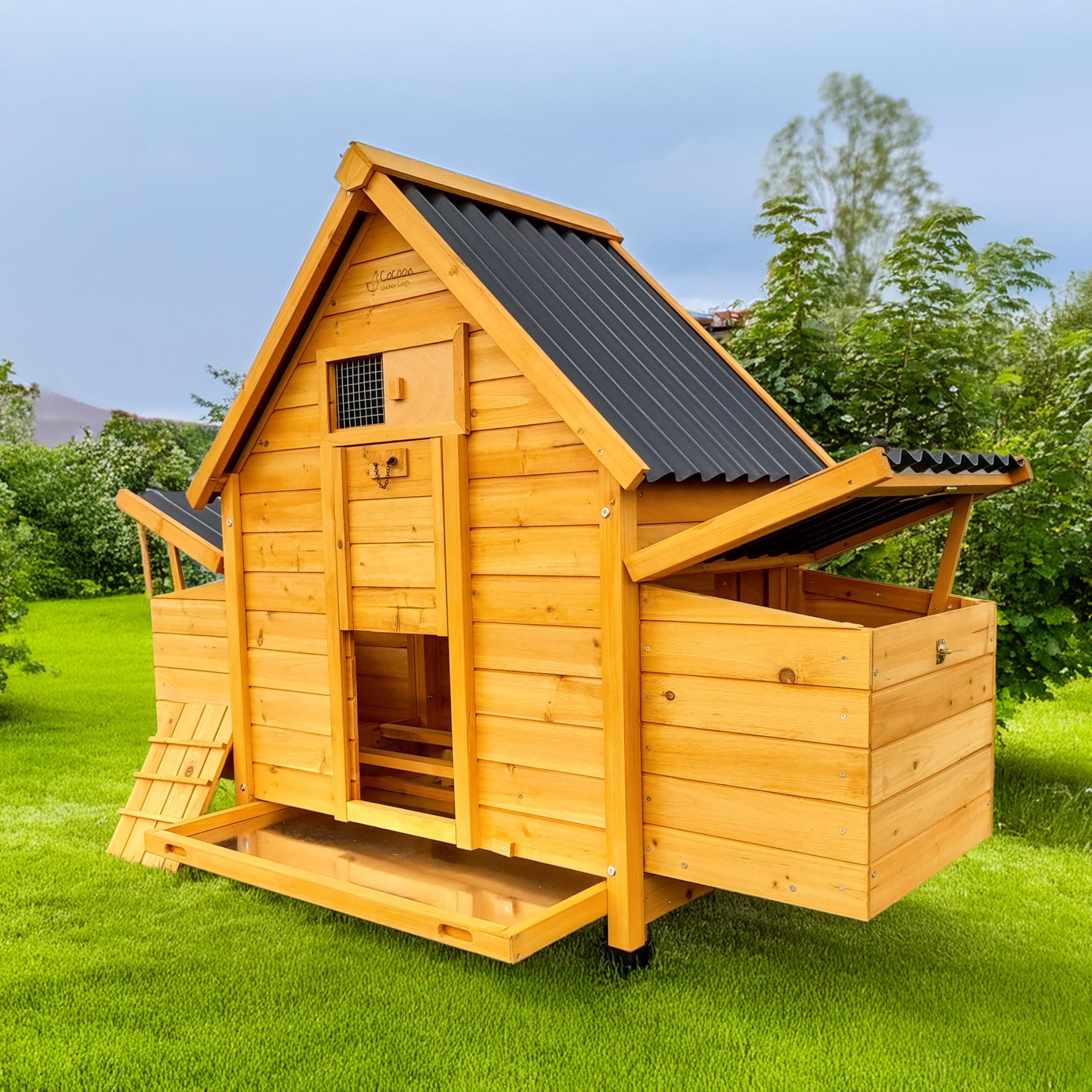 Cocoon ECO 6002N Chicken Coop – Wooden Hen House with Rot-Proof Plastic Roofs, Pull-Out Tray & Nest Box – Ideal for 4–6 Birds