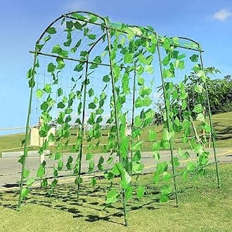 Large Garden Arch Trellis Tunnel Trellis for Climbing Plants Outdoor Vegetables Like Squash Cucumber and Grape