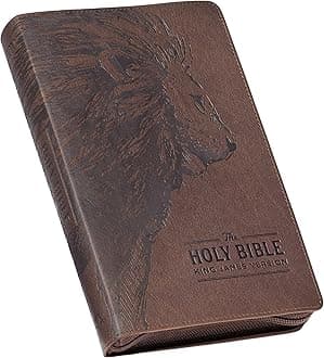 KJV Holy Bible Imitation Leather – 1 July 2023