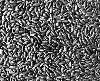 Emperor's Black Rice - Non-GMO, Whole Grain, Vegan - Rich in Protein and Fiber, All Natural (10 Pounds)